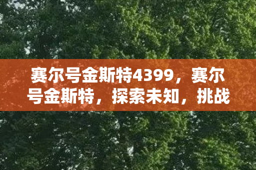赛尔号金斯特4399，赛尔号金斯特，探索未知，挑战极限的奇幻之旅