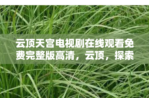 云顶天宫电视剧在线观看免费完整版高清，云顶，探索策略与运气交织的奇妙世界