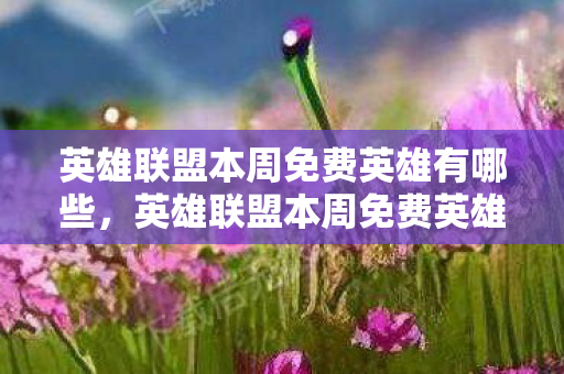 英雄联盟本周免费英雄有哪些，英雄联盟本周免费英雄，探索未知，挑战极限