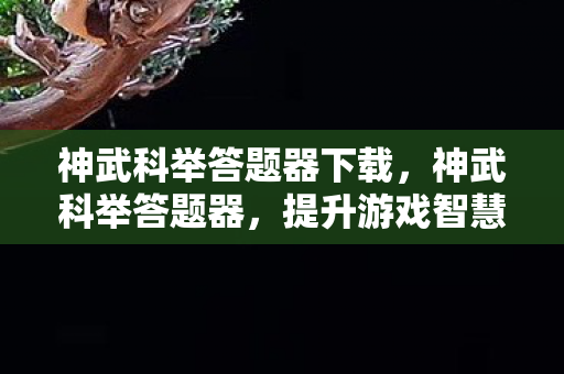 神武科举答题器下载,神武科举答题器,提升游戏智慧的利器 神武科举答题器下载,神武科举答题器,提升游戏智慧的利器
