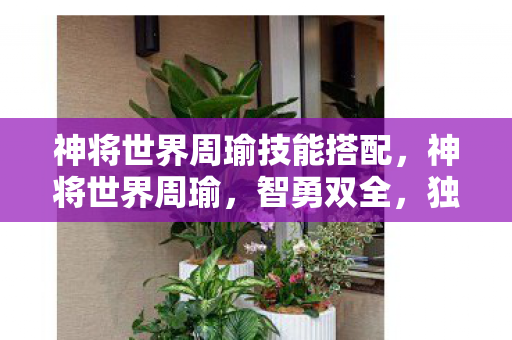 神将世界周瑜技能搭配，神将世界周瑜，智勇双全，独步天下的传奇将领