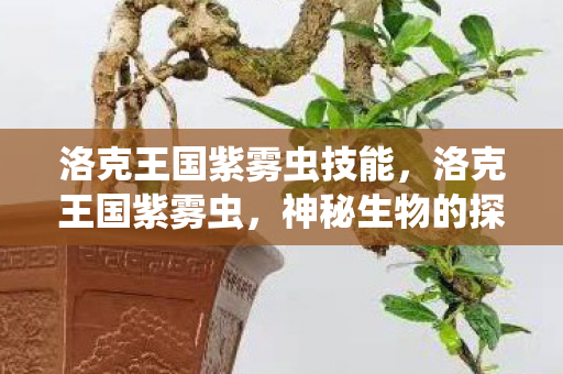 洛克王国紫雾虫技能,洛克王国紫雾虫,神秘生物的探索与解析 洛克王国紫雾虫技能,洛克王国紫雾虫,神秘生物的探索与解析