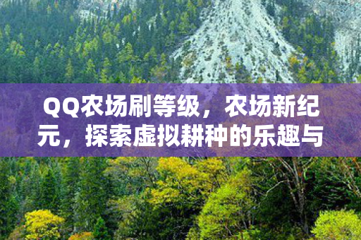 QQ农场刷等级,农场新纪元,探索虚拟耕种的乐趣与挑战 QQ农场刷等级,农场新纪元,探索虚拟耕种的乐趣与挑战