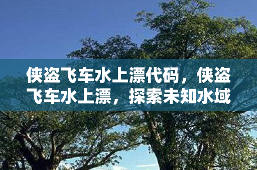 侠盗飞车水上漂代码,侠盗飞车水上漂,探索未知水域的自由之旅 侠盗飞车水上漂代码,侠盗飞车水上漂,探索未知水域的自由之旅