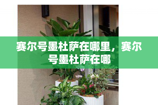 赛尔号墨杜萨在哪里，赛尔号墨杜萨在哪