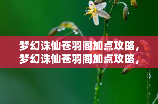 梦幻诛仙苍羽阁加点攻略，梦幻诛仙苍羽阁加点攻略，打造最强输出角色