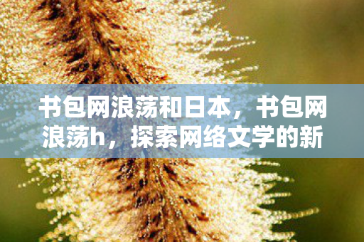 书包网浪荡和日本,书包网浪荡h,探索网络文学的新边疆 书包网浪荡和日本,书包网浪荡h,探索网络文学的新边疆