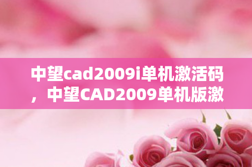 中望cad2009i单机激活码,中望CAD2009单机版激活码,合法授权与高效应用的探索 中望cad2009i单机激活码,中望CAD2009单机版激活码,合法授权与高效应用的探索