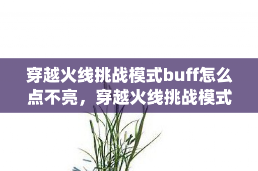 穿越火线挑战模式buff怎么点不亮,穿越火线挑战模式,揭秘那些影响游戏体验的bug 穿越火线挑战模式buff怎么点不亮,穿越火线挑战模式,揭秘那些影响游戏体验的bug
