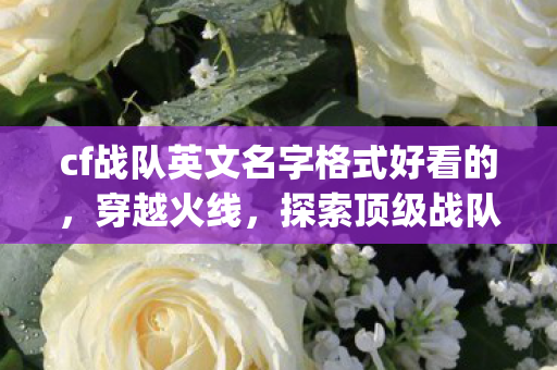 cf战队英文名字格式好看的,穿越火线,探索顶级战队ShadowReapers的荣耀与战术 cf战队英文名字格式好看的,穿越火线,探索顶级战队ShadowReapers的荣耀与战术
