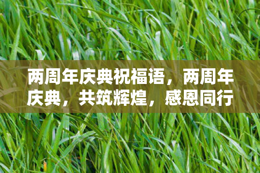 两周年庆典祝福语，两周年庆典，共筑辉煌，感恩同行
