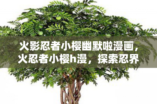火影忍者小樱幽默啦漫画，火忍者小樱h漫，探索忍界中的激情与冒险