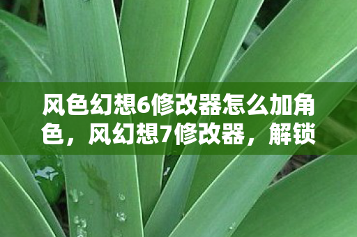 风色幻想6修改器怎么加角色，风幻想7修改器，解锁无限可能的冒险之旅