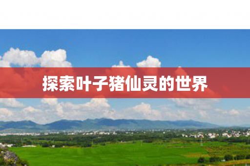 探索叶子猪仙灵的世界 探索叶子猪仙灵的世界