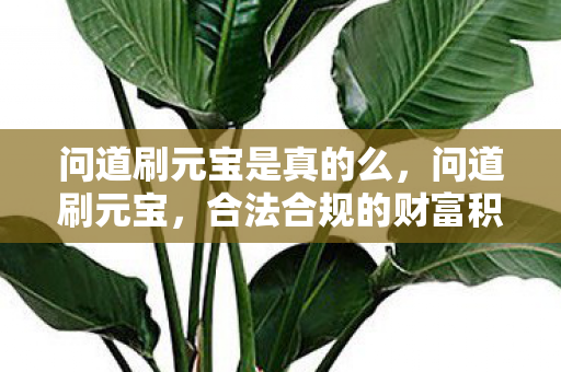 问道刷元宝是真的么,问道刷元宝,合法合规的财富积累之道 问道刷元宝是真的么,问道刷元宝,合法合规的财富积累之道
