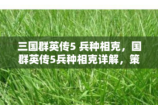 三国群英传5 兵种相克,国群英传5兵种相克详解,策略与智慧的碰撞 三国群英传5 兵种相克,国群英传5兵种相克详解,策略与智慧的碰撞