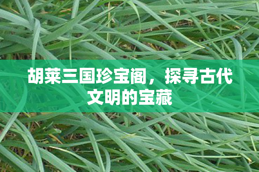 胡莱三国珍宝阁，探寻古代文明的宝藏