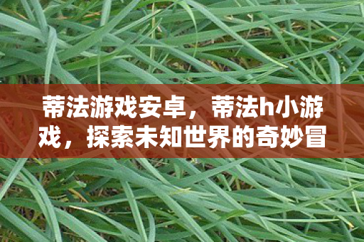 蒂法游戏安卓,蒂法h小游戏,探索未知世界的奇妙冒险 蒂法游戏安卓,蒂法h小游戏,探索未知世界的奇妙冒险