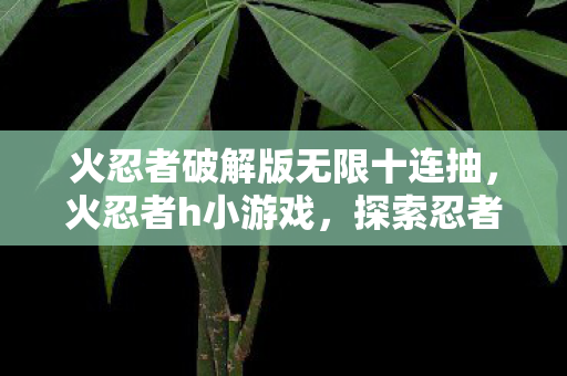 火忍者破解版无限十连抽，火忍者h小游戏，探索忍者世界的奇妙冒险