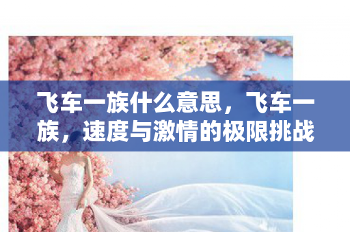 飞车一族什么意思，飞车一族，速度与激情的极限挑战