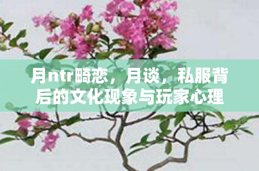 月ntr畸恋，月谈，私服背后的文化现象与玩家心理