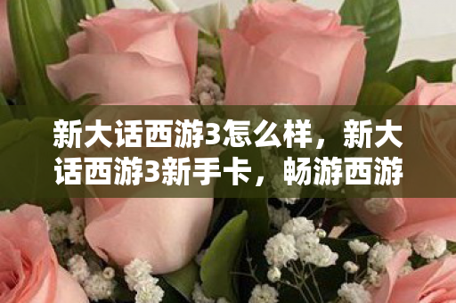 新大话西游3怎么样,新大话西游3新手卡,畅游西游世界的必备神器 新大话西游3怎么样,新大话西游3新手卡,畅游西游世界的必备神器