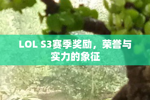 LOL S3赛季奖励,荣誉与实力的象征 LOL S3赛季奖励,荣誉与实力的象征