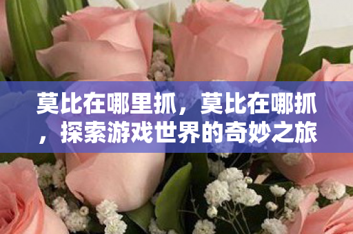 莫比在哪里抓，莫比在哪抓，探索游戏世界的奇妙之旅
