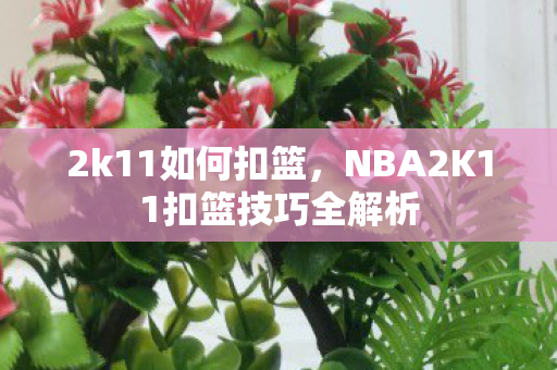 2k11如何扣篮,NBA2K11扣篮技巧全解析 2k11如何扣篮,NBA2K11扣篮技巧全解析