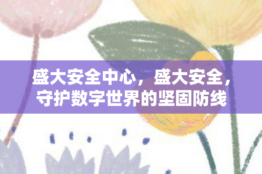 盛大安全中心，盛大安全，守护数字世界的坚固防线