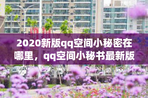 2020新版qq空间小秘密在哪里,qq空间小秘书最新版的全面升级与功能解析 2020新版qq空间小秘密在哪里,qq空间小秘书最新版的全面升级与功能解析