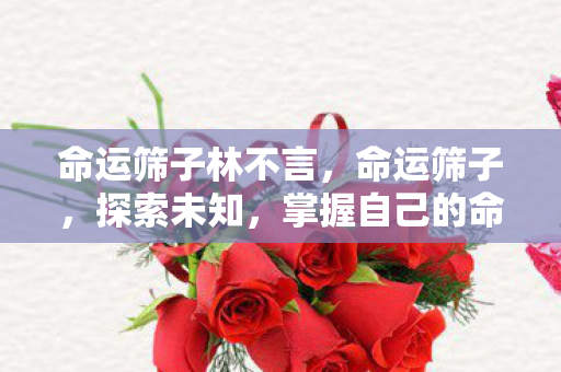 命运筛子林不言,命运筛子,探索未知,掌握自己的命运 命运筛子林不言,命运筛子,探索未知,掌握自己的命运