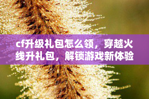 cf升级礼包怎么领,穿越火线升礼包,解锁游戏新体验,提升战斗实力 cf升级礼包怎么领,穿越火线升礼包,解锁游戏新体验,提升战斗实力