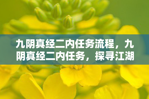 九阴真经二内任务流程,九阴真经二内任务,探寻江湖深处的秘密 九阴真经二内任务流程,九阴真经二内任务,探寻江湖深处的秘密