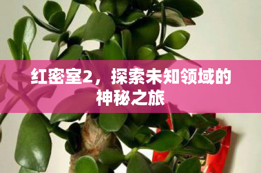 红密室2,探索未知领域的神秘之旅 红密室2,探索未知领域的神秘之旅