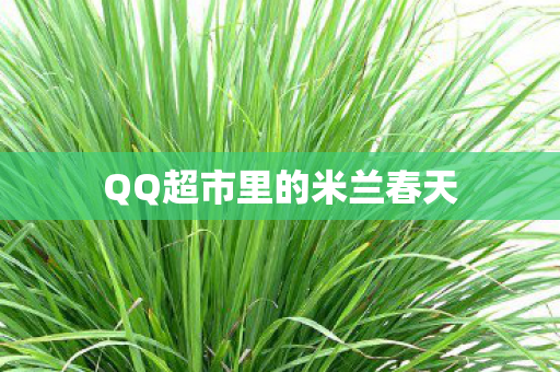 QQ超市里的米兰春天 QQ超市里的米兰春天