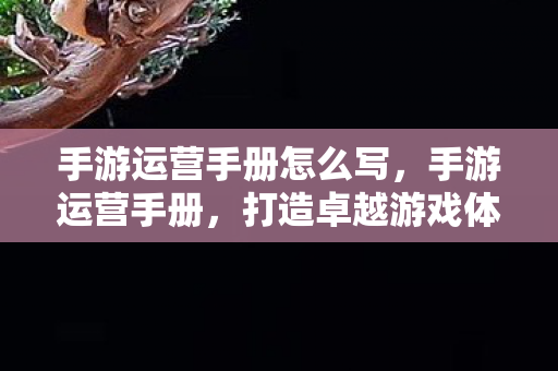 手游运营手册怎么写,手游运营手册,打造卓越游戏体验与持续盈利的秘诀 手游运营手册怎么写,手游运营手册,打造卓越游戏体验与持续盈利的秘诀
