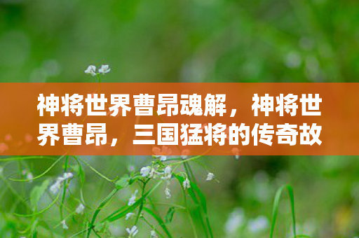 神将世界曹昂魂解，神将世界曹昂，三国猛将的传奇故事