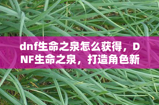 dnf生命之泉怎么获得,DNF生命之泉,打造角色新生命的神秘泉水 dnf生命之泉怎么获得,DNF生命之泉,打造角色新生命的神秘泉水