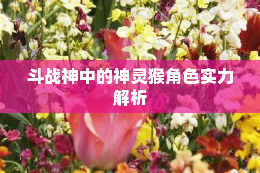 斗战神中的神灵猴角色实力解析 斗战神中的神灵猴角色实力解析