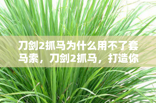 刀剑2抓马为什么用不了套马索,刀剑2抓马,打造你的专属战马,驰骋江湖 刀剑2抓马为什么用不了套马索,刀剑2抓马,打造你的专属战马,驰骋江湖