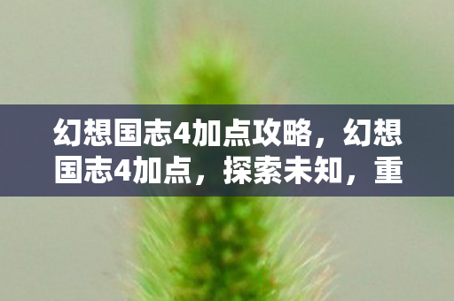 幻想国志4加点攻略,幻想国志4加点,探索未知,重塑角色力量 幻想国志4加点攻略,幻想国志4加点,探索未知,重塑角色力量