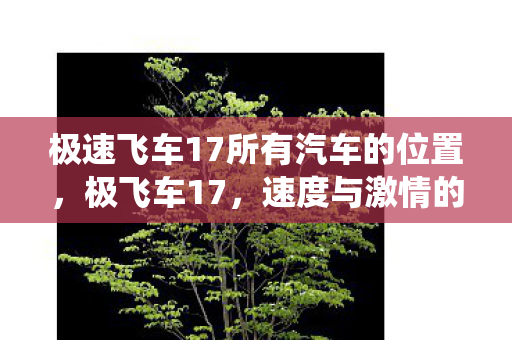 极速飞车17所有汽车的位置,极飞车17,速度与激情的极致演绎 极速飞车17所有汽车的位置,极飞车17,速度与激情的极致演绎