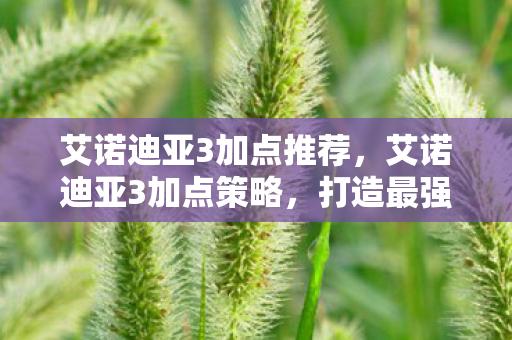 艾诺迪亚3加点推荐，艾诺迪亚3加点策略，打造最强角色