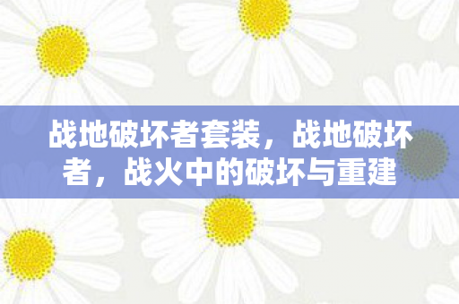 战地破坏者套装,战地破坏者,战火中的破坏与重建 战地破坏者套装,战地破坏者,战火中的破坏与重建