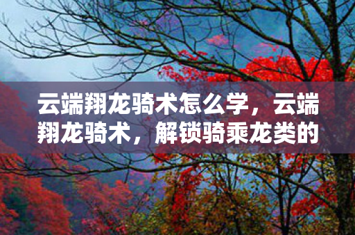 云端翔龙骑术怎么学，云端翔龙骑术，解锁骑乘龙类的神秘之旅