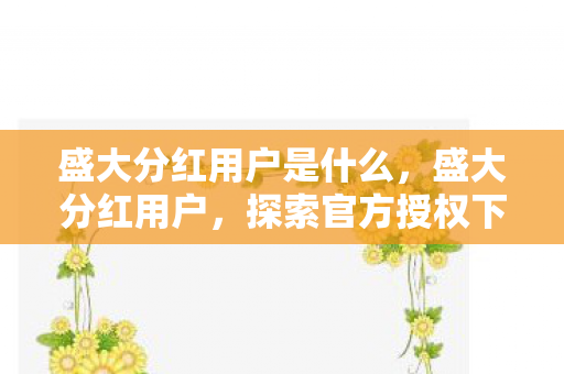 盛大分红用户是什么，盛大分红用户，探索官方授权下的财富增值之路
