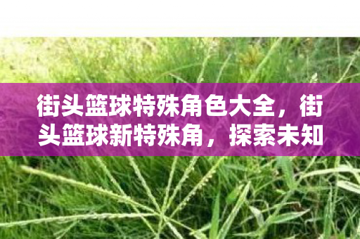 街头篮球特殊角色大全，街头篮球新特殊角，探索未知，挑战极限