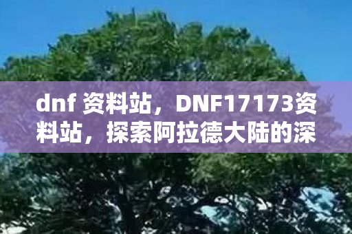 dnf 资料站，DNF17173资料站，探索阿拉德大陆的深度指南