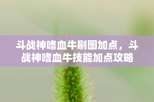 斗战神嗜血牛刷图加点,斗战神嗜血牛技能加点攻略 斗战神嗜血牛刷图加点,斗战神嗜血牛技能加点攻略